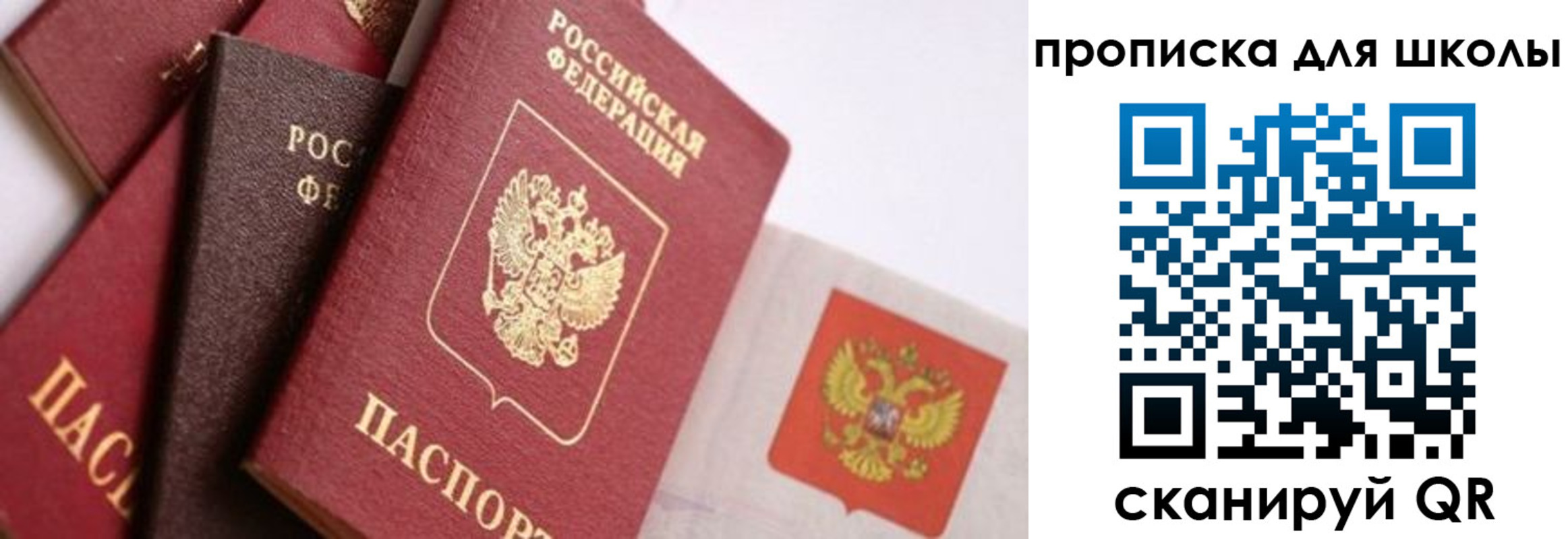 прописка поиск в Зеленоградске